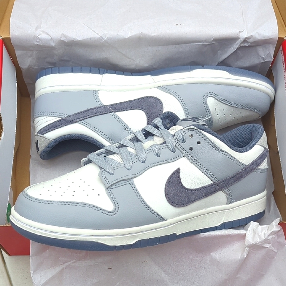 Nike Dunk Low Retro Special Edition - PLATINUM TINT - Size 10.5 ( FJ4188-100 )